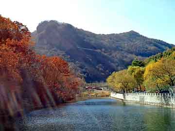 澳门二四六天天彩图库，巫山seo论坛